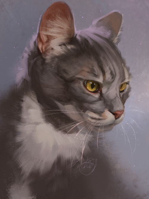 shrimpu-art
