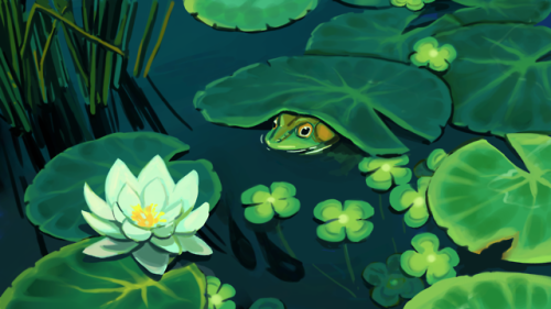 pond frogs | Tumblr