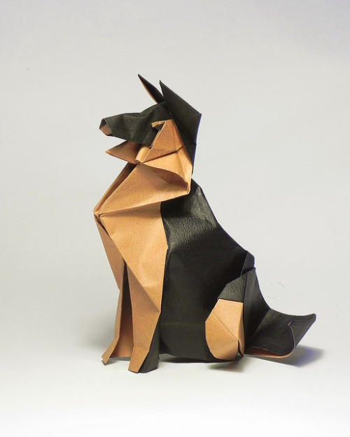 german shepherd research paper german shepherd research paper