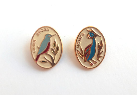 Vintage birds pins: blue thrush and great crested grebe (x)