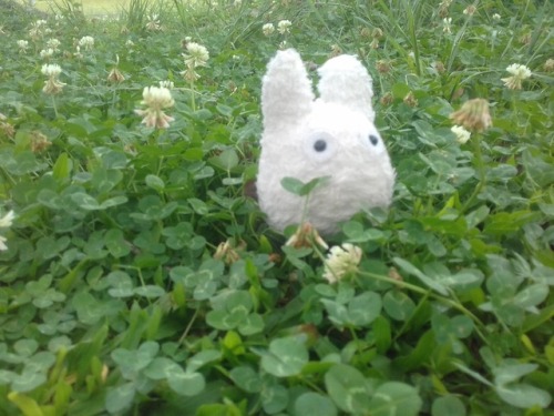 marcelasteph:Tiny Totoro in the park. He’d so much fun!