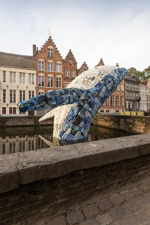 bobbycaputo:A 38-Foot-Tall Whale Made From 10,000 Pounds of...