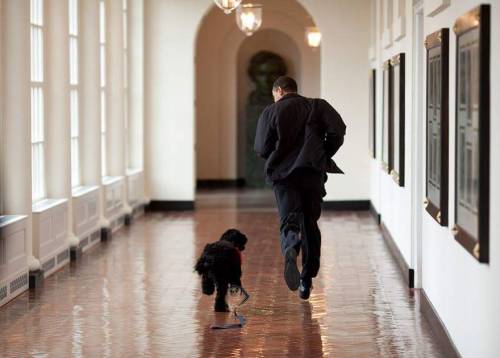 ithelpstodream:Official White House photographer Pete Souza...