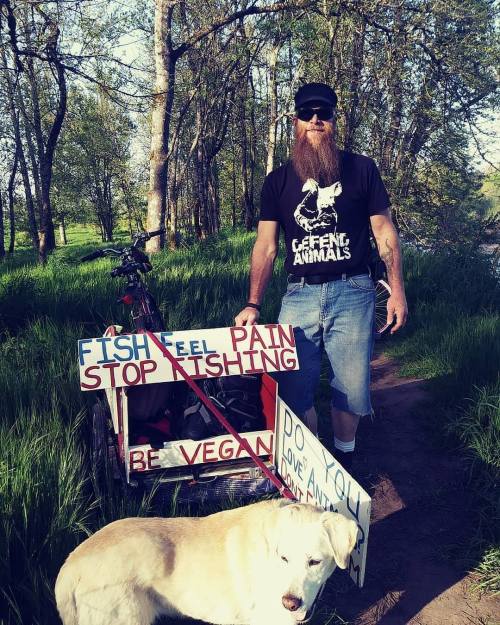 defend-animals