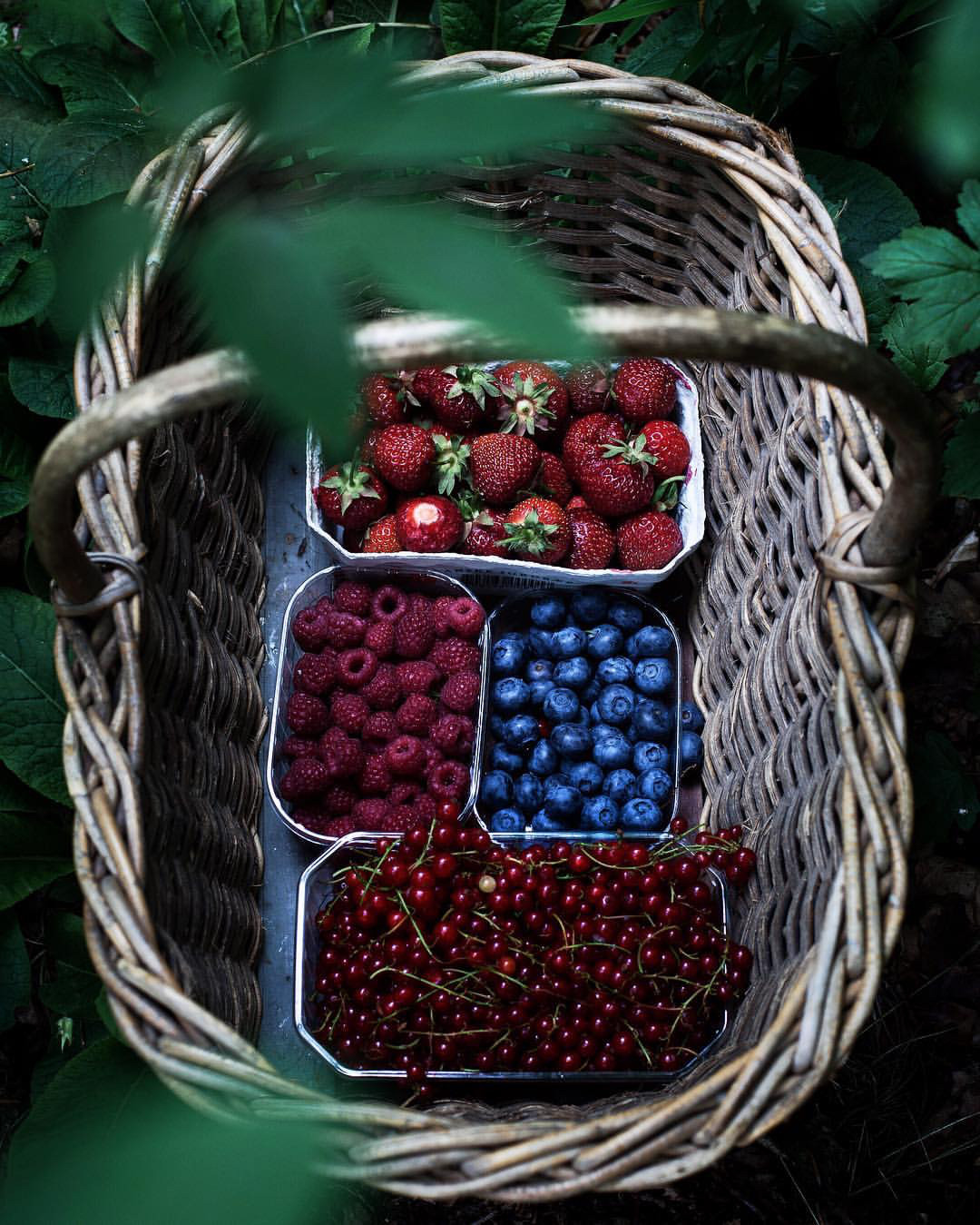 oldfarmhouse:
“ “Nothing better than to go to the local organic farmer and stock up on berries for today’s summer cake ❤️🍓🍰”
signalhill photo credit
@instagram
”