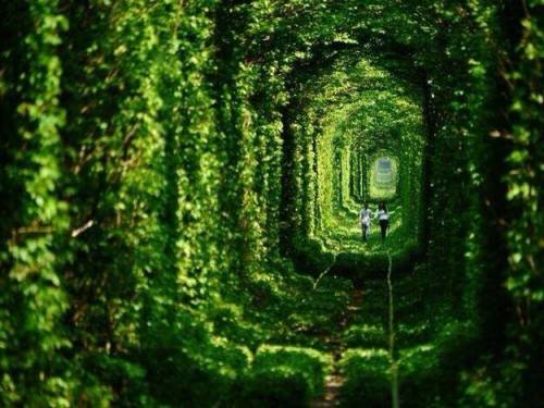 Tunnel of Love, Ukraïne (via Earth Pics)