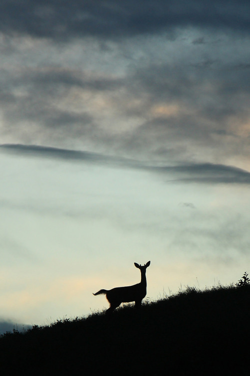 lsleofskye:Big Sky Country