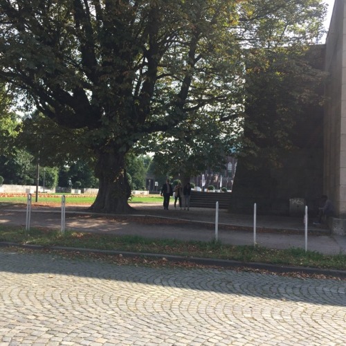 Düsseldorf park scenes.