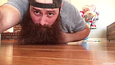 https://66.media.tumblr.com/745f9c676f60dd18dafa34ccc4fc3106/tumblr_ogunf5OQpe1vb46leo1_400.gif