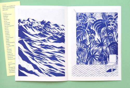 kevinlucbert:New artist’s book : Blue Lines, by Fotokino...