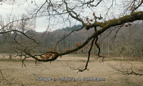 365filmsbyauroranocte:Un beau soleil intérieur (a.k.a. Let...