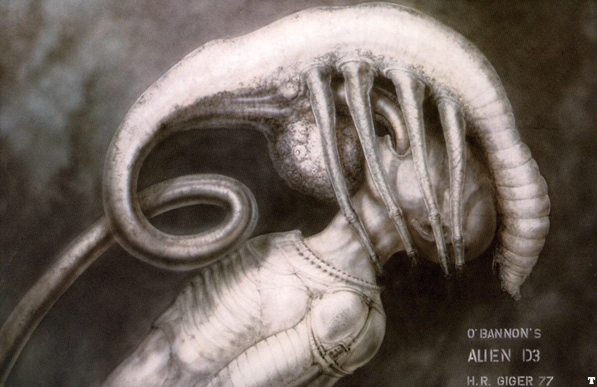 Alien 1979 Xenomorph Concept Art