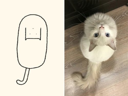 catasters