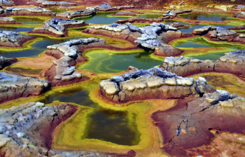 nubbsgalore:the alien like landscape of the ethiopian dallol...