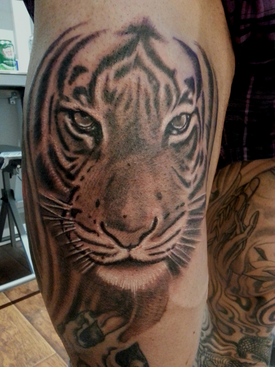 Bob Paulin — Tiger tattoo by Bob Paulin#bobpaulin #bobpaulin...