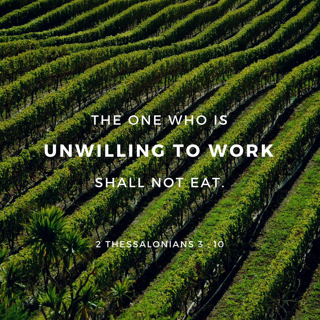 The Living 2 Thessalonians 310 Niv For Even When