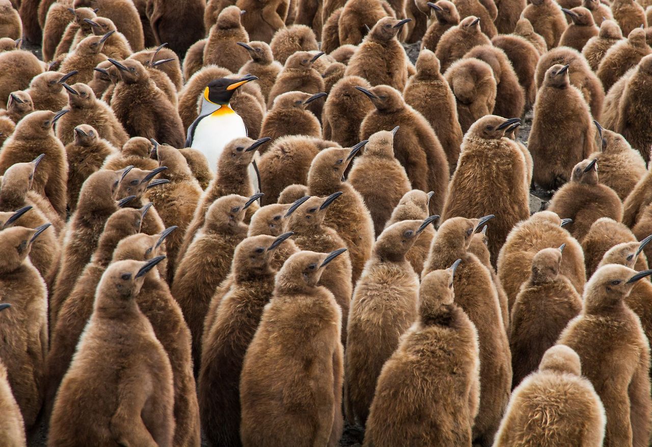 Top Shot: Stand Out From The Crowd Top Shot... -- Editors' Spotlight ...