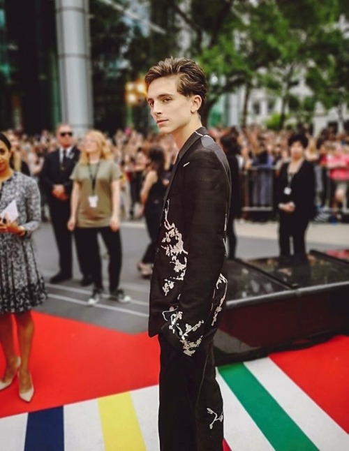 littlelovebomb:Timothee Chalamet at the Beautiful Boy Premiere...