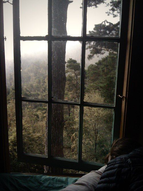 bohemian nature travel forest morning peaceful relaxtime life