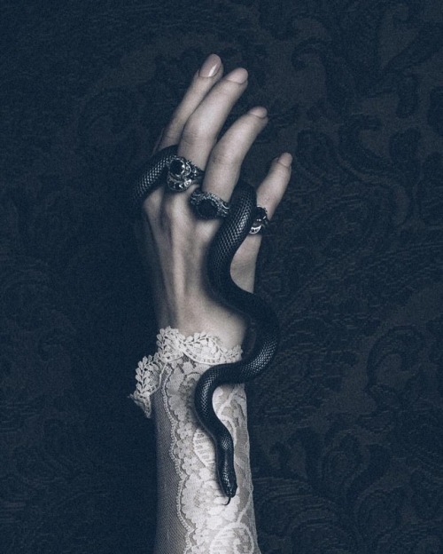 hautemacabre:Today is the final day in the #BloodMilk sale •...