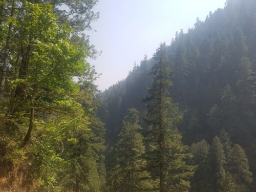 Oregon Adventures. My buddy and I looking majestic as fuck.