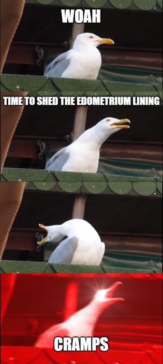 astreamoflight