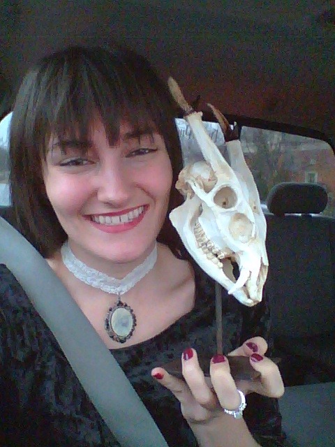 personal muntjac deer skull fake taxidermy selfie