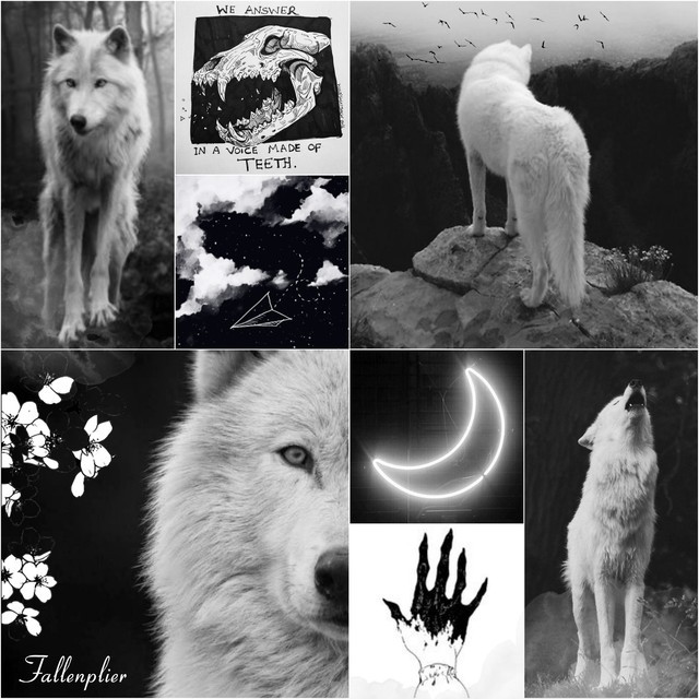 Goth Therians — White Wolf Therian Aesthetic lol i made this