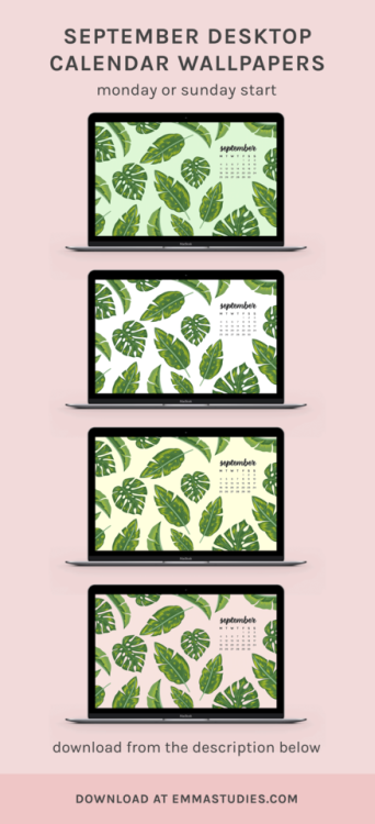 emmastudies:September tropical leaf desktop wallpapersHere are...