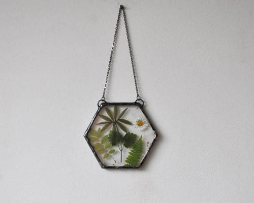 spookyfoxfashion:Hanging Dried Flower Terrariums from MARIAELA