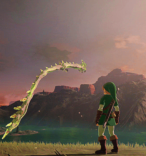 breath of the wild heart container gif