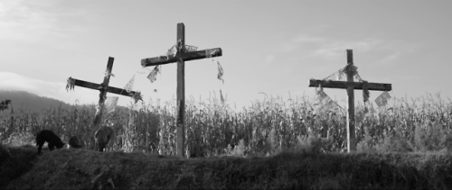 365filmsbyauroranocte:Roma (Alfonso Cuarón, 2018): empty...