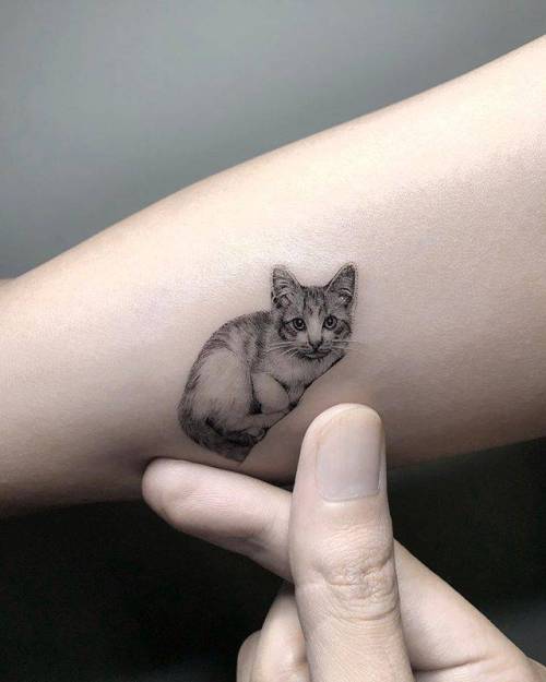 By Ray Samurai Tattoo, done at Samurai Tattoo, Shanghai.... small;pet;feline;single needle;inner arm;animal;tiny;ifttt;little;ray;cat
