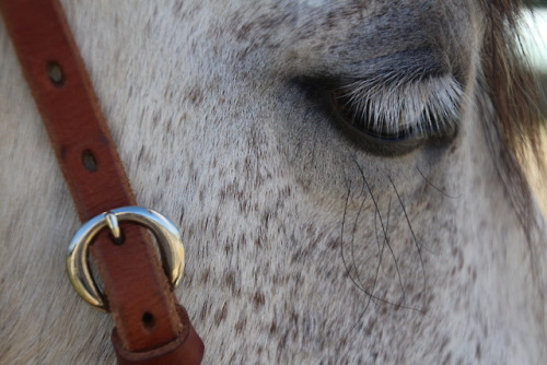 outwiththereasoninwiththeseason:Details with teapot