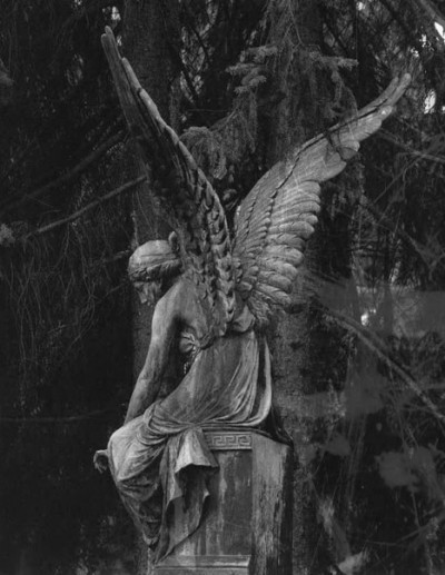 Angel Statue Tumblr