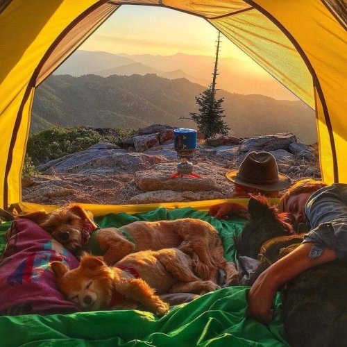 awwww-cute:The best view! (Source: https://ift.tt/2I9kjtP)