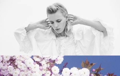 erika linder sleek