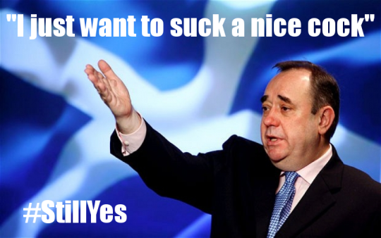 Alex Salmond, captioned 'I just want to suck a nice cock' #StillYes