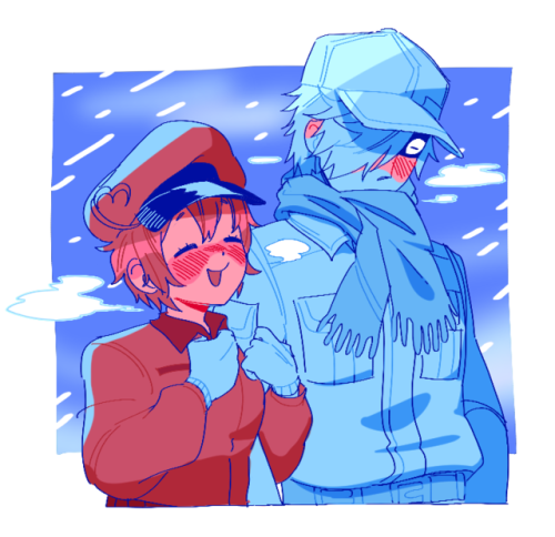 sowwysap:bundled up