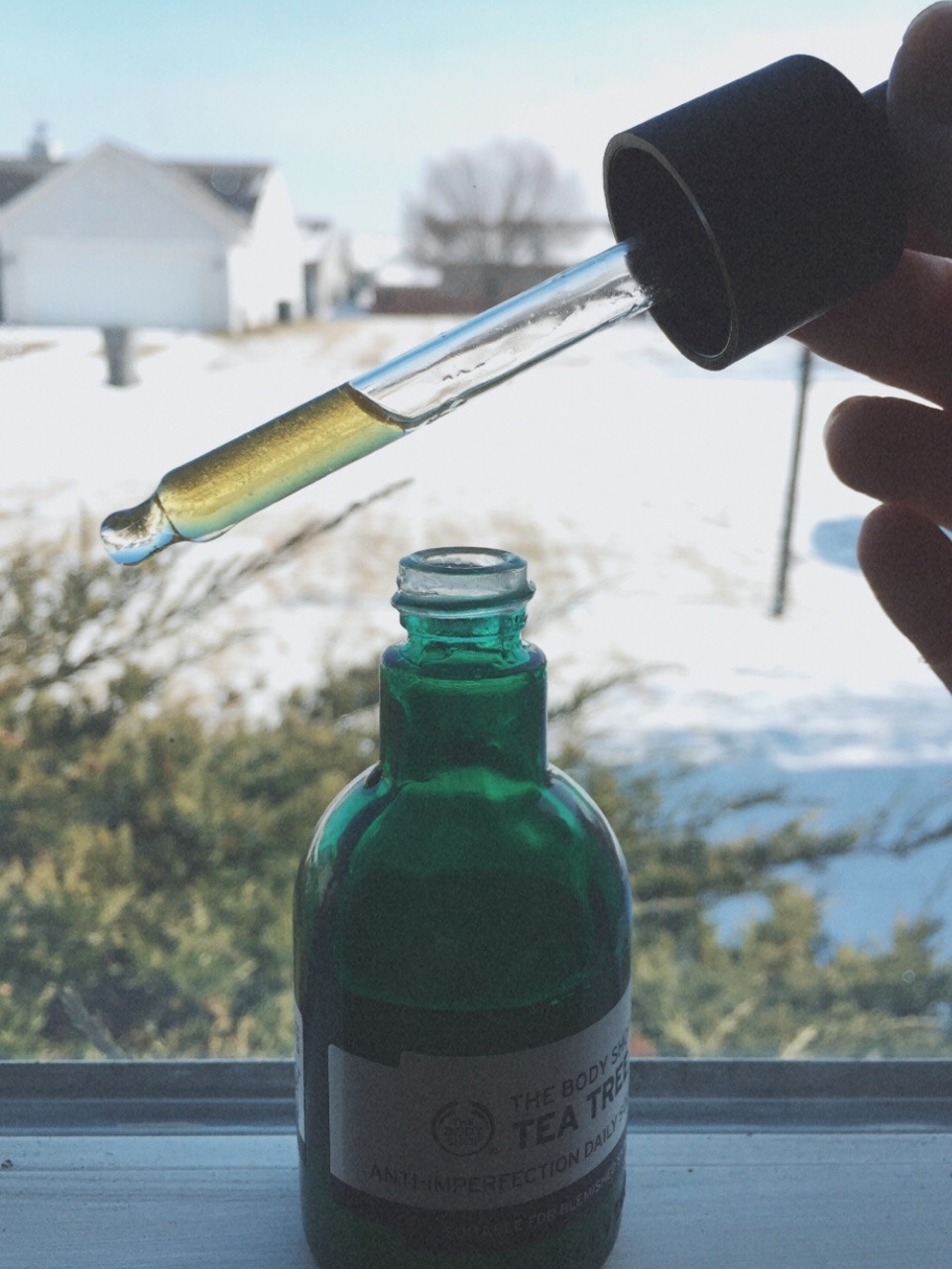Ow 20 Oil Change >> castor seed oil | Tumblr Ow 20 Oil Change >> castor seed oil | Tumblr