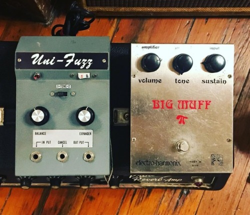 Fuzz buddies. Pulled these out of a 50ft trailer in Colorado...