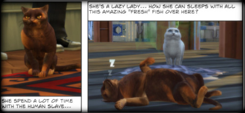 anakel13ts4stuff