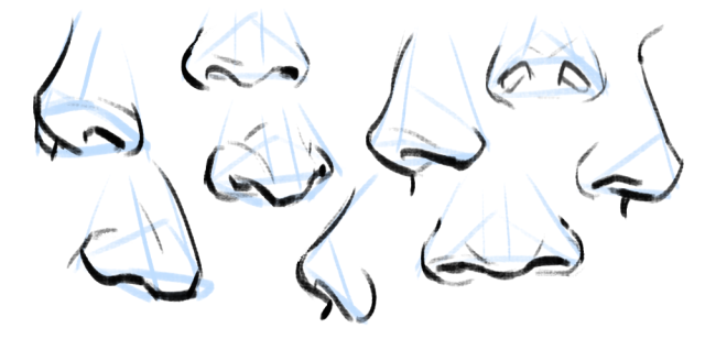 How do you draw noses? Art References