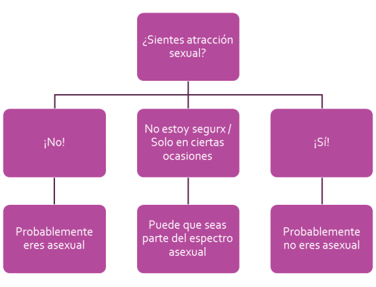 Atracción física y erección