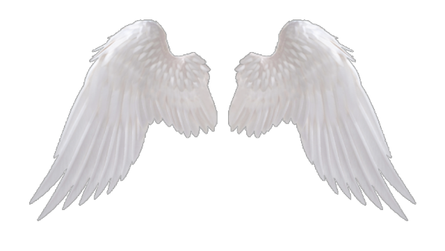 transparent angel wings Tumblr