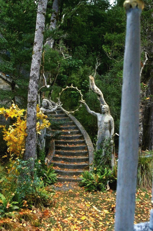 elvenforestworld:Nestled in the Rimutaka mountains at...