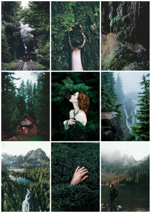 murmurous-haunt:Hogwarts Houses - Slytherin in Autumn - “I...