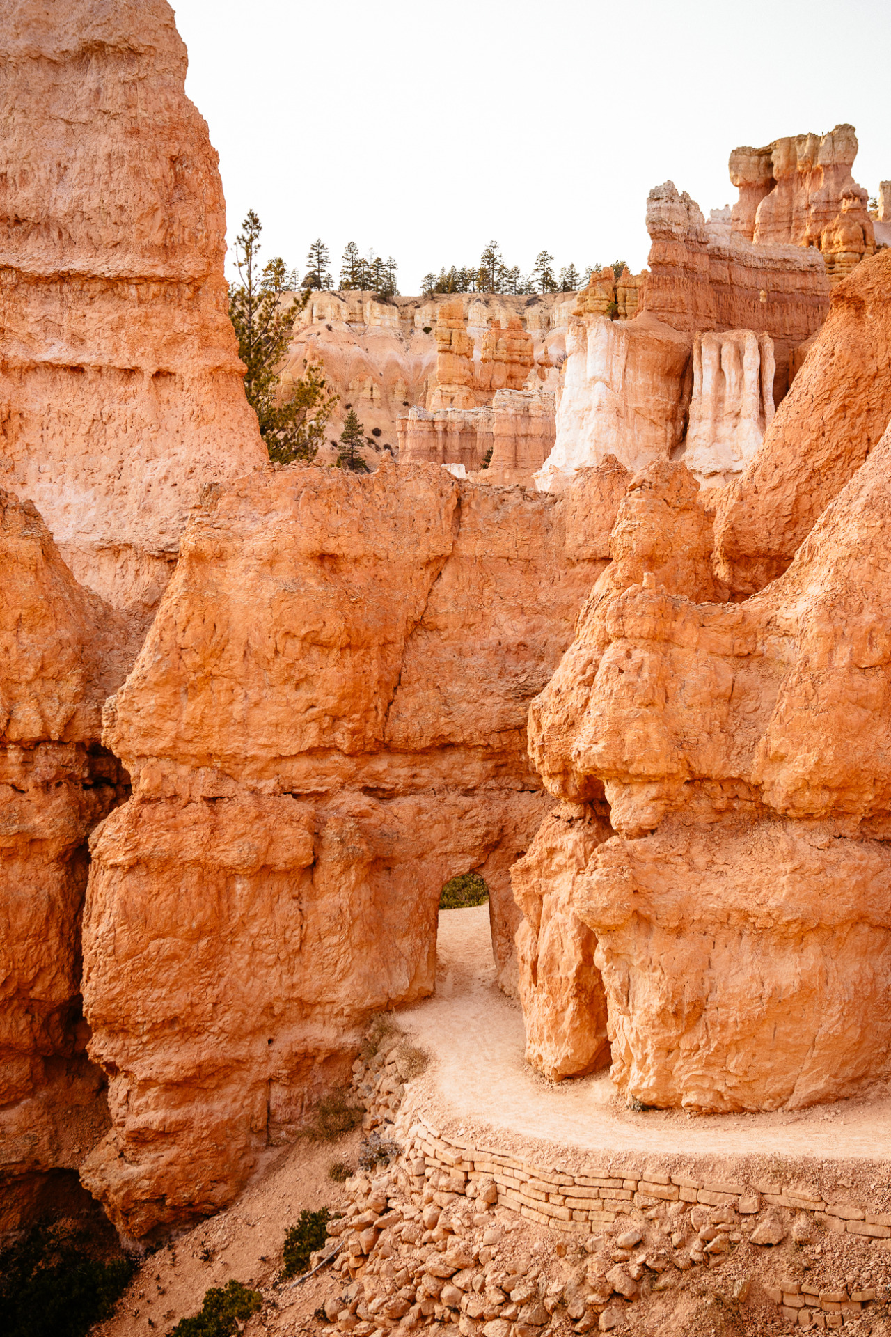 christophermfowler: “Bryce Canyon National Park, UT | October 2019 ”