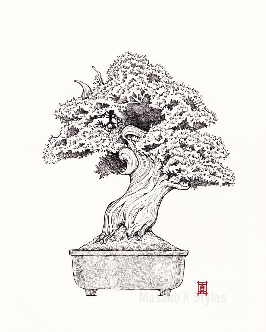 Daily Mano — Bonsai tree drawing #1. It took longer than I...