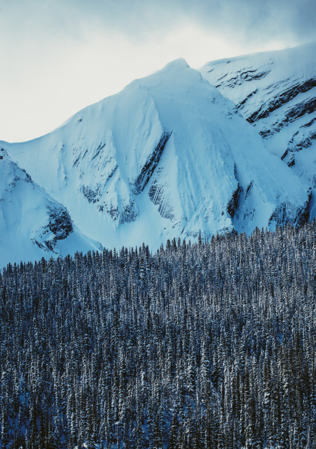 GUILLERMO ÁLVAREZ - satakentia: Jasper National Park (by Owen Perry)